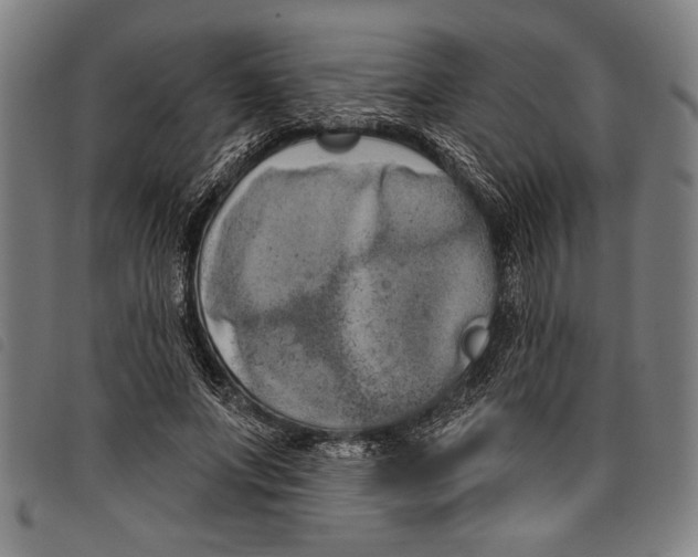 X0000097810687200804041337