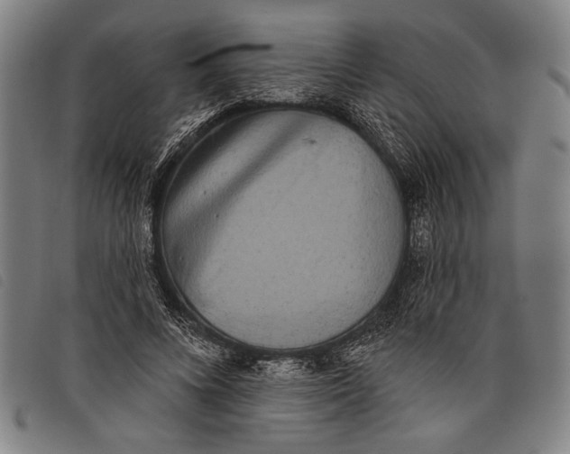 X0000097810688200804041337