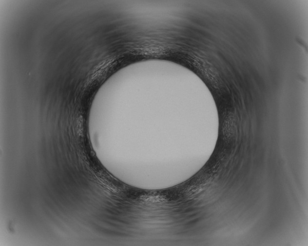 X0000097810689200804041337