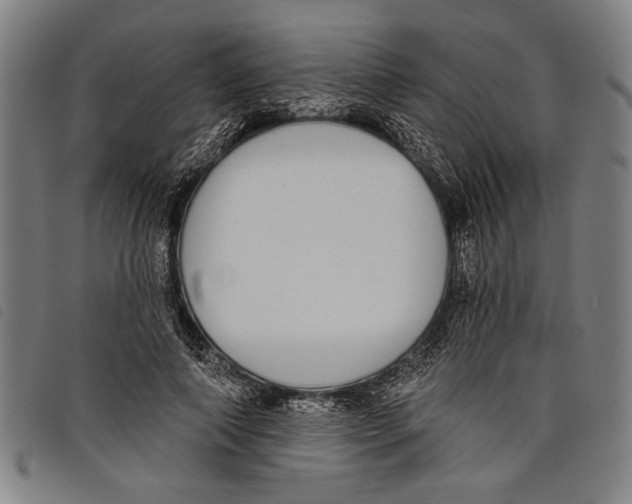 X0000097810690200804041337