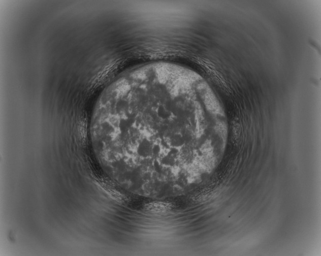 X0000097810691200804041337