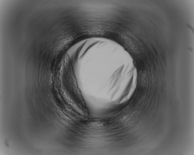 X0000097810692200804041337