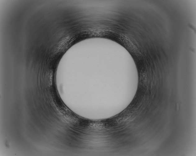 X0000097810694200804041337