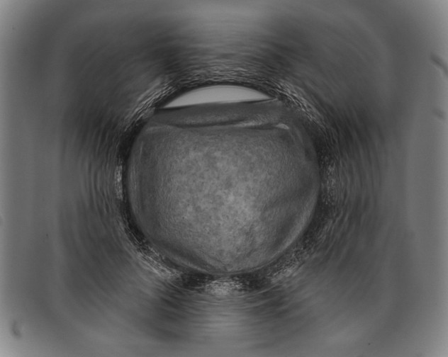 X0000097810696200804041337