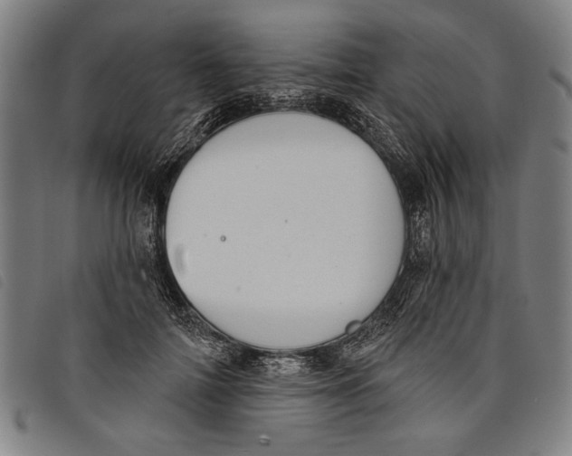 X0000097810698200804041337