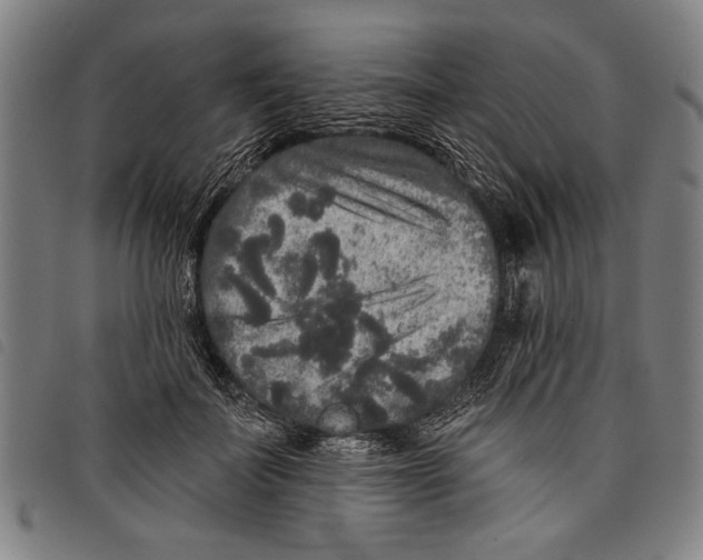 X0000097810699200804041337