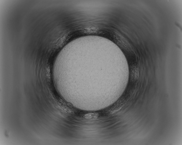 X0000097810700200804041337