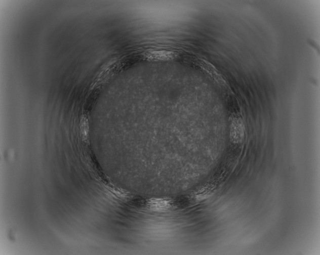 X0000097810701200804041337