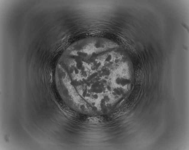 X0000097810703200804041337