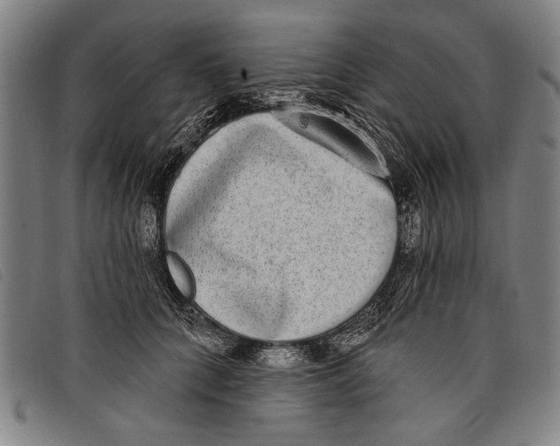 X0000097810704200804041337