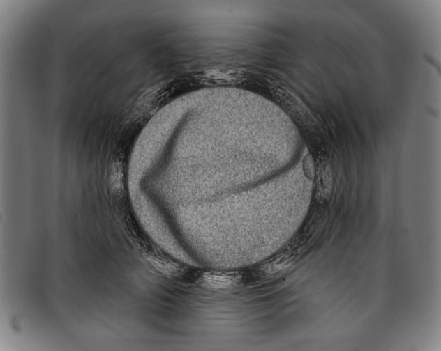 X0000097810706200804041337