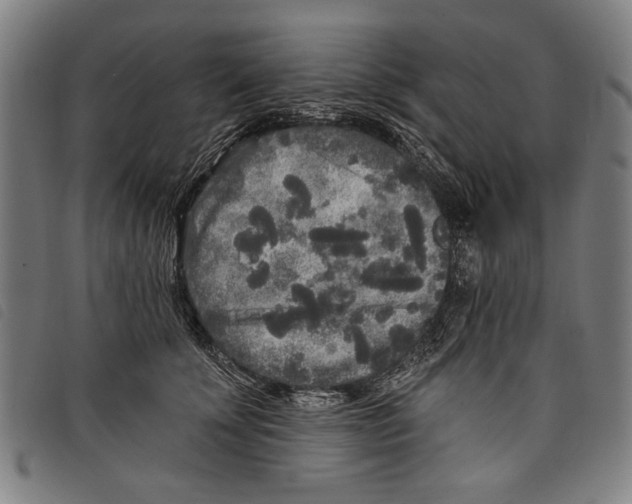 X0000097810707200804041337