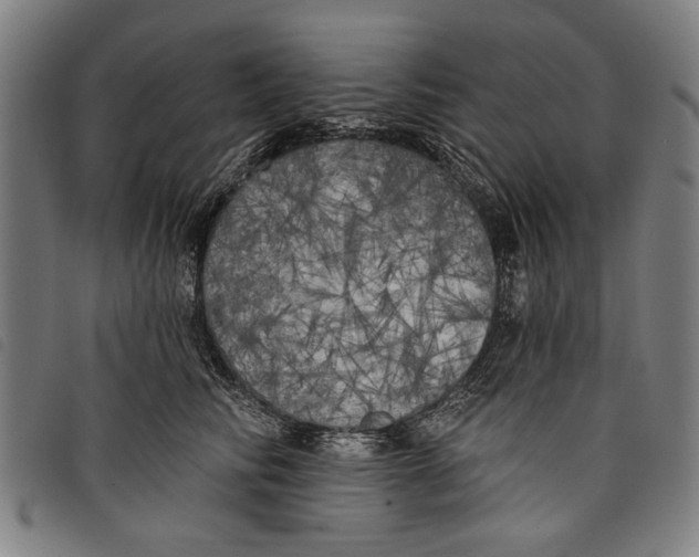 X0000097810710200804041336