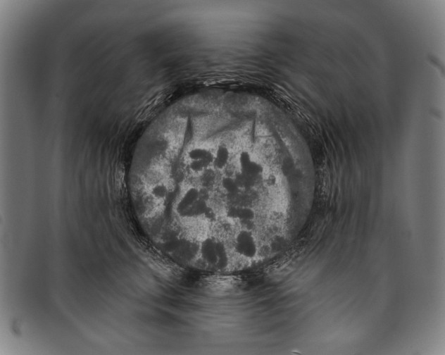 X0000097810711200804041336