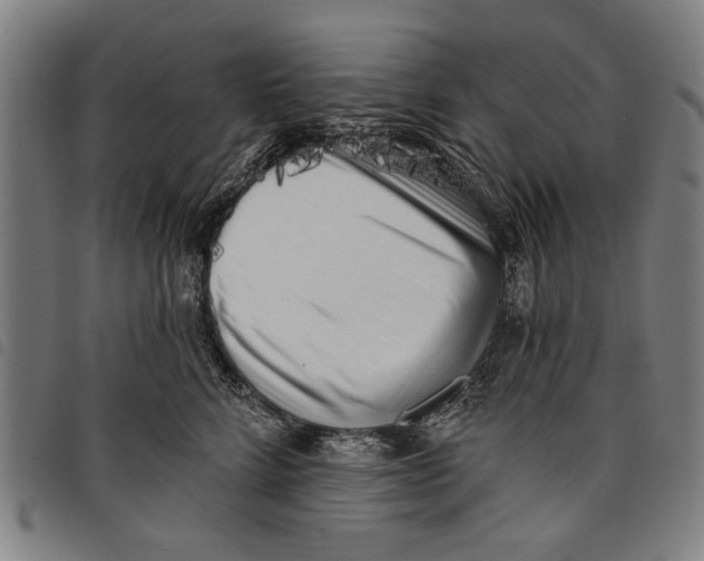 X0000097810712200804041336