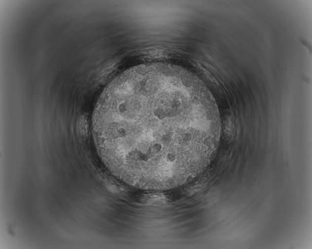 X0000097810715200804041336