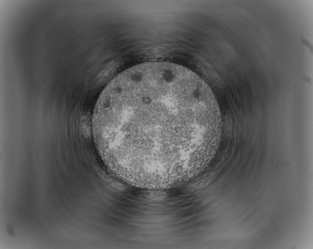 X0000097810719200804041336