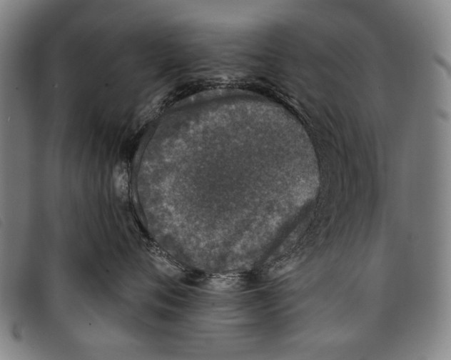 X0000097810720200804041336