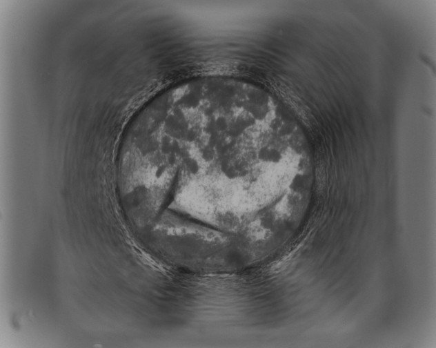 X0000097810721200804041335