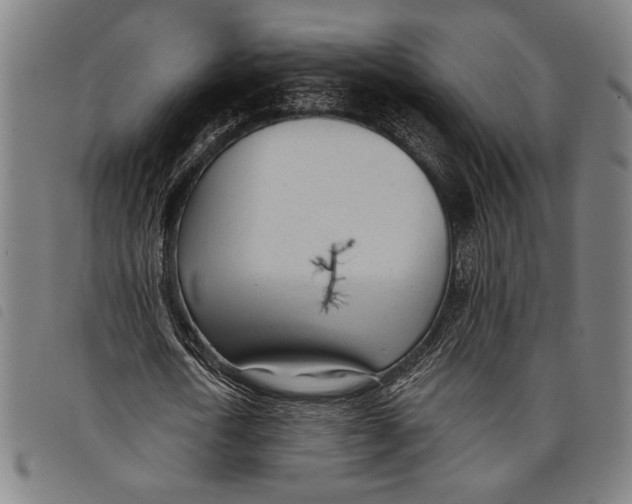 X0000097810722200804041336