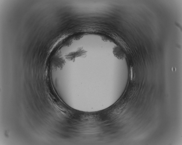 X0000097810723200804041336