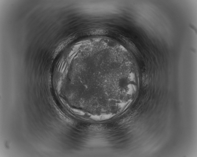 X0000097810725200804041336