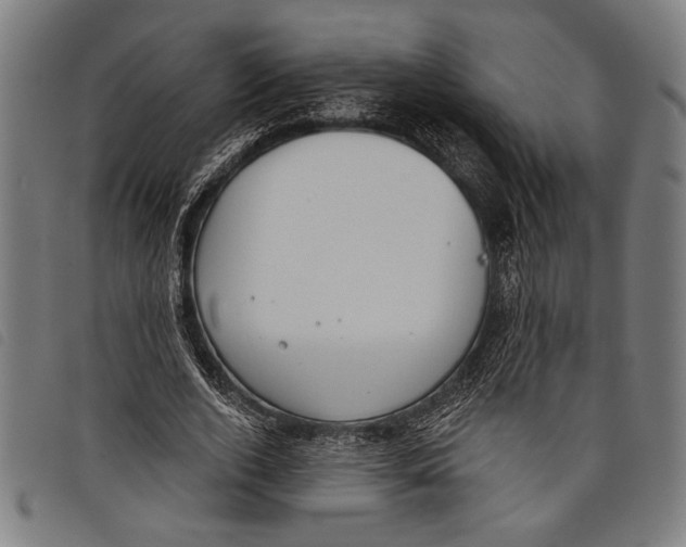 X0000097810728200804041336