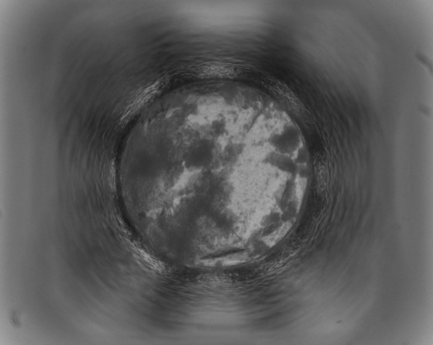 X0000097810729200804041336