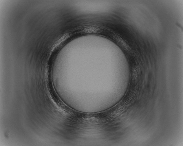 X0000097810730200804041336