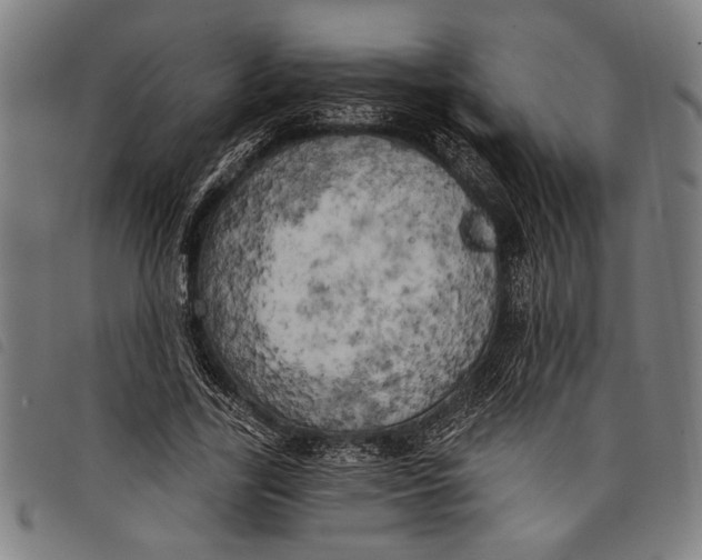 X0000097810731200804041336