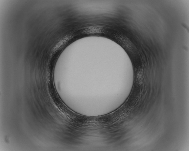 X0000097810732200804041336