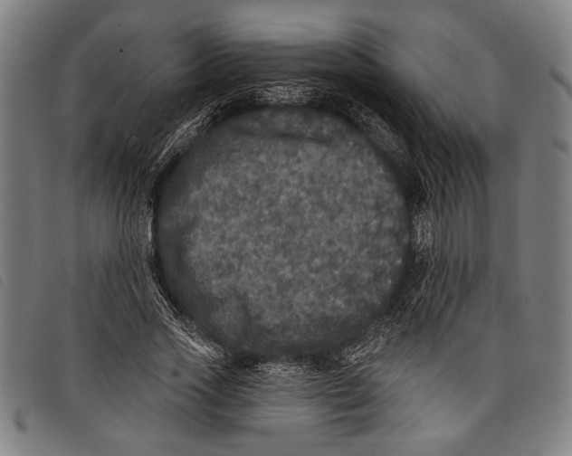 X0000097810733200804041336