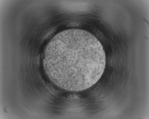 X0000097810735200804041336