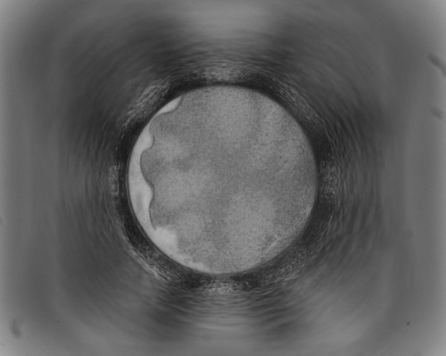 X0000097810738200804041336