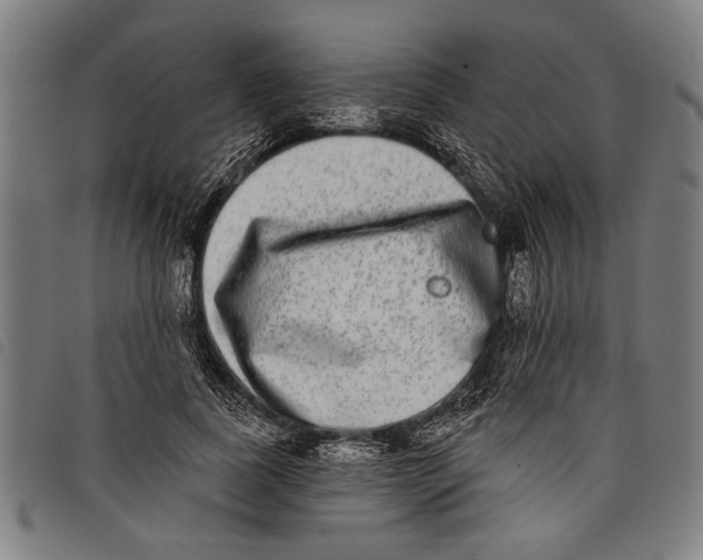 X0000097810739200804041336