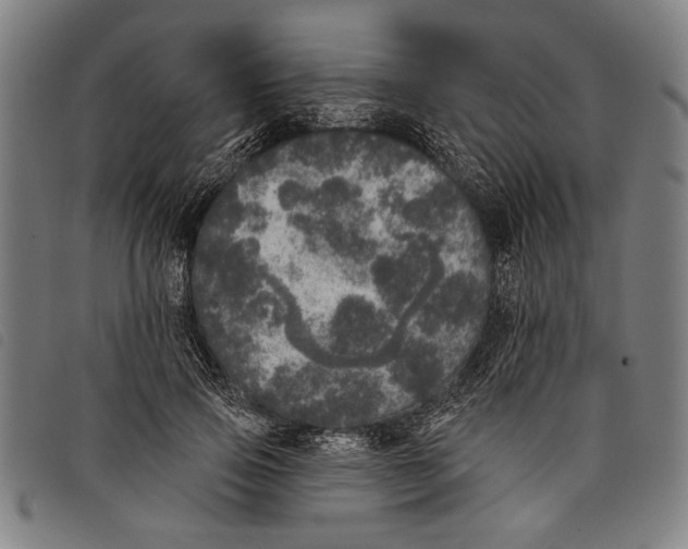 X0000097810741200804041336