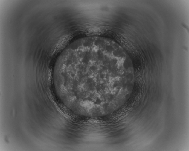 X0000097810742200804041336