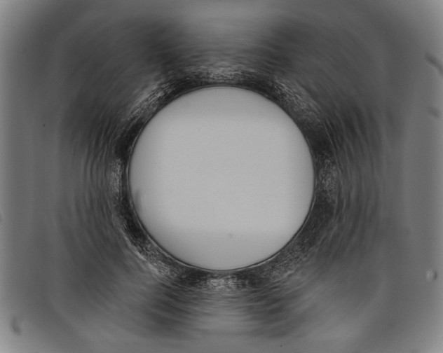 X0000097810744200804041336