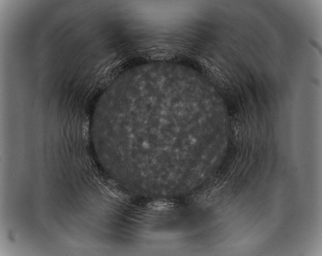 X0000097810745200804041336