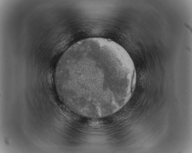 X0000097810746200804041336