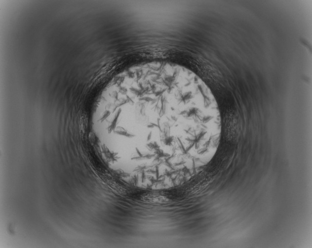 X0000097810747200804041336