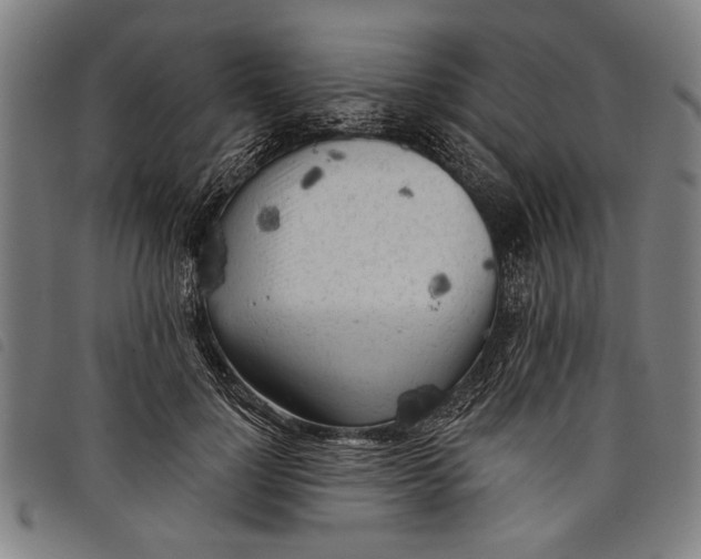 X0000097810748200804041336