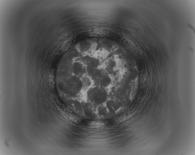 X0000097810749200804041336