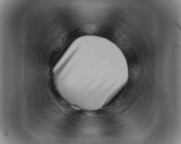 X0000097810750200804041336