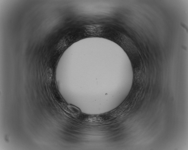 X0000097810752200804041336