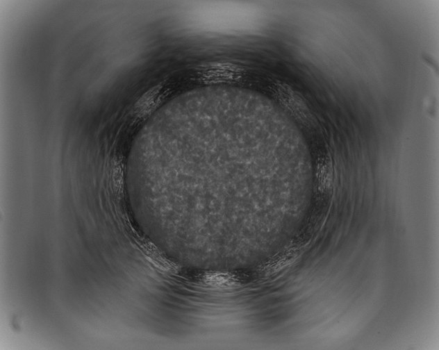 X0000097810753200804041336