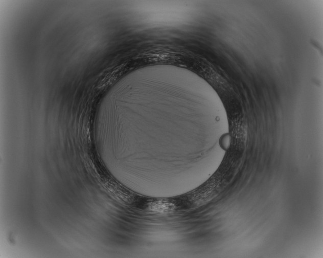 X0000097810754200804041336