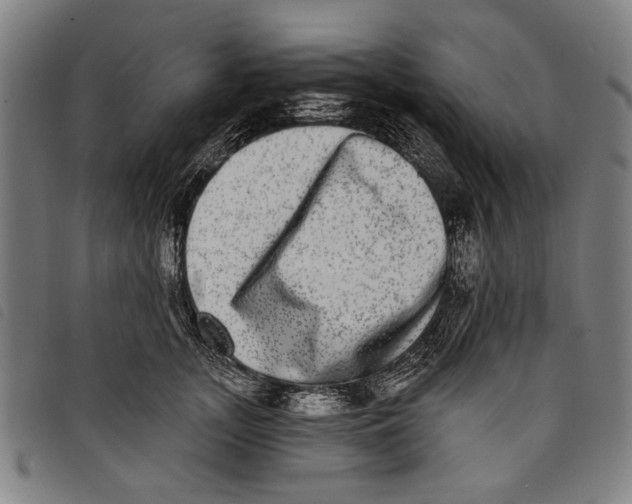 X0000097810755200804041336