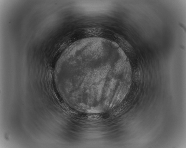 X0000097810757200804041336