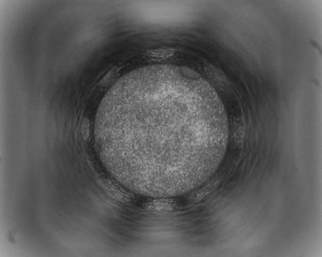 X0000097810758200804041336